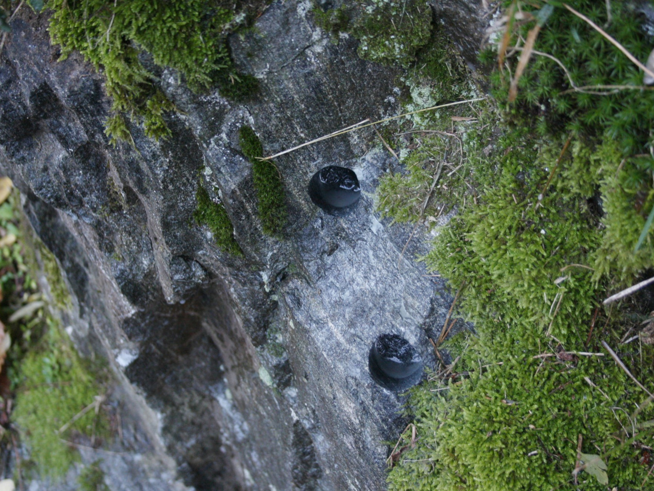 anfibolite mafica Migiandone