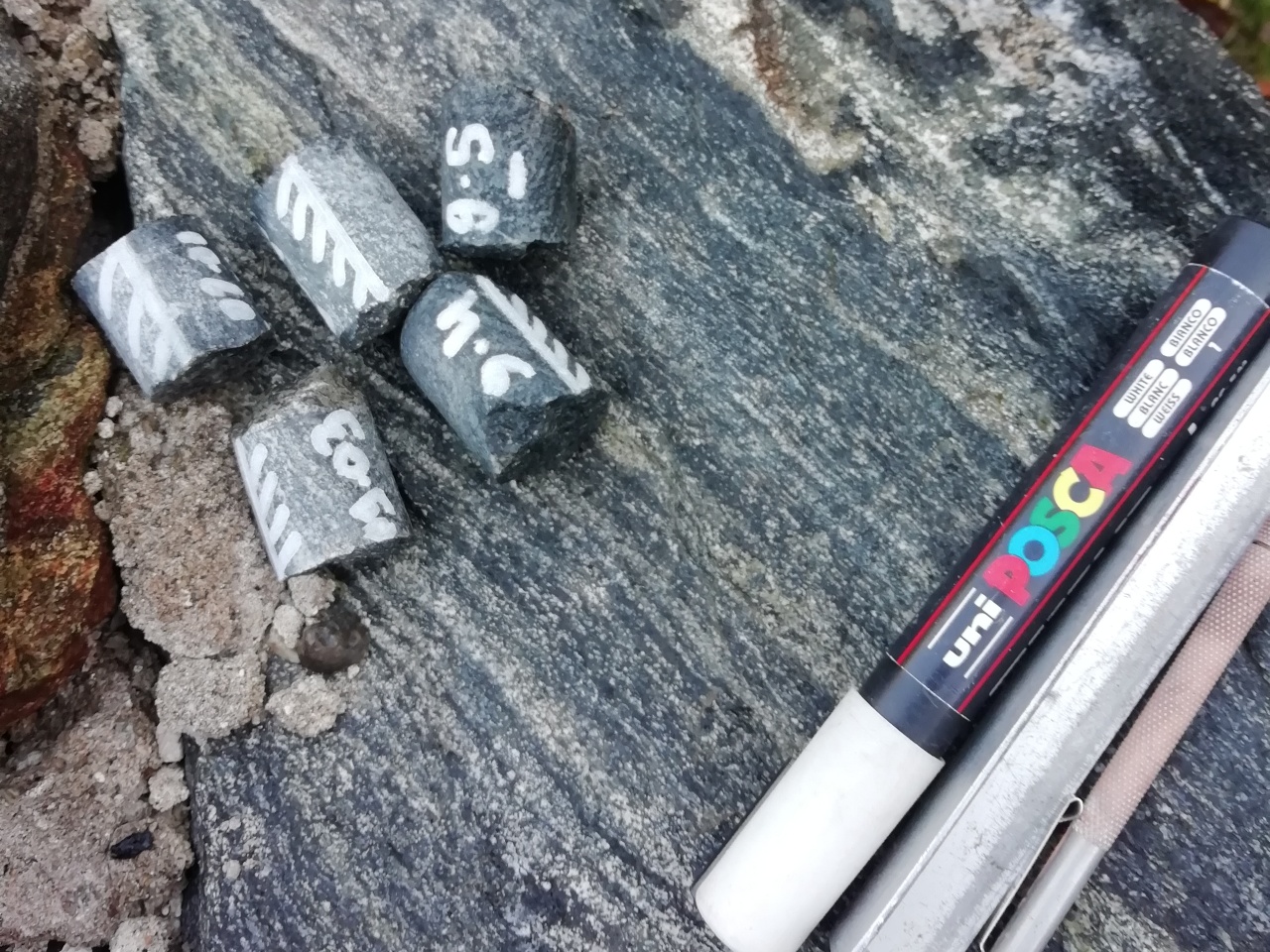 paleomag samples