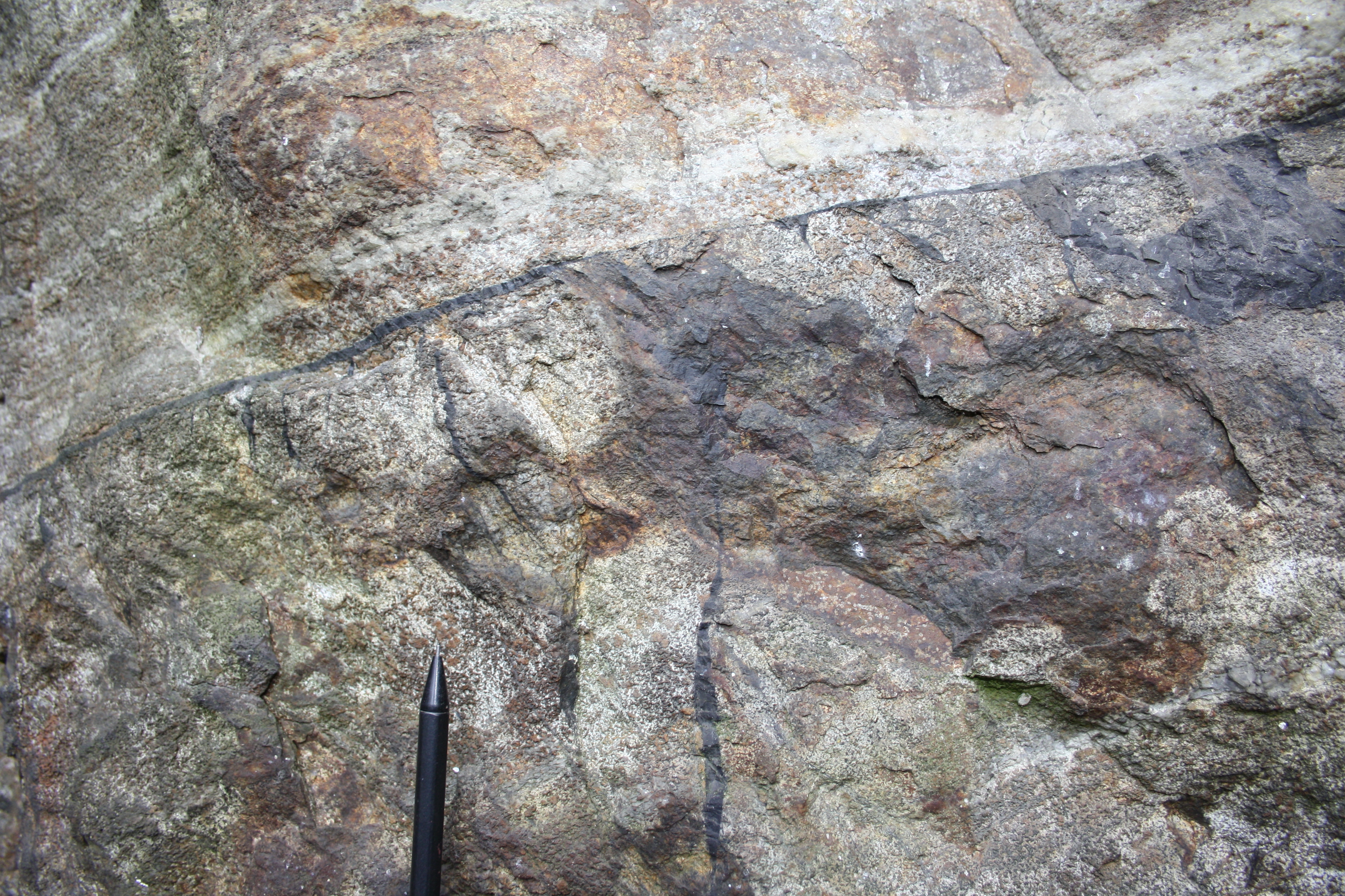 pseudotachilite Megolo