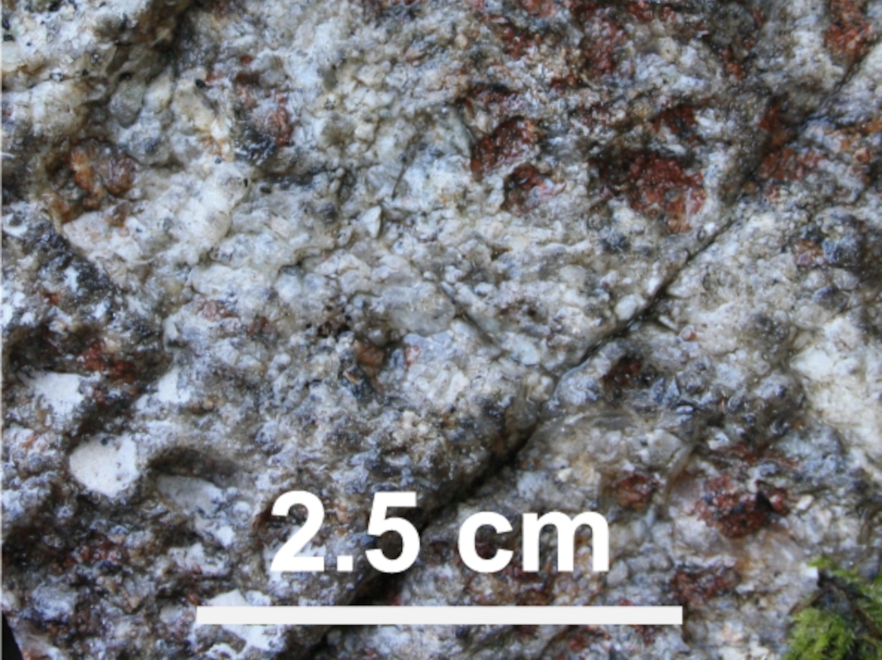 small garnets Anzola